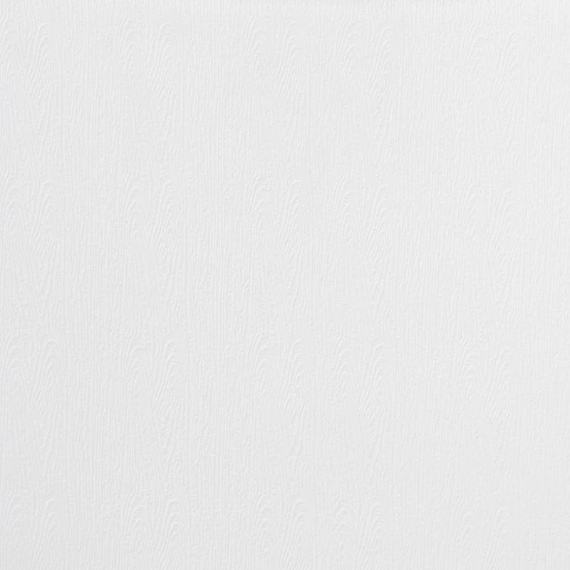 Set di 4 sedie da pranzo Jaden moderne e contemporanee in plastica/metallo